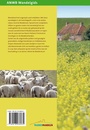 Wandelgids Waddenkust | ANWB