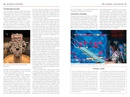 Reisgids Mexico | Insight Guides