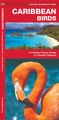 Vogelgids - Natuurgids Caribbean Birds | Waterford Press