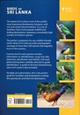 Vogelgids Birds of Sri Lanka | Helm