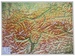 Reliëfkaart Tirol met voelbaar 3D reliëf | 77 x 57 cm | GeoRelief