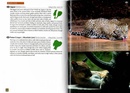 Natuurgids Wildlife of Ecuador | Princeton University Press