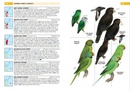 Vogelgids Birds of the Indian Ocean Islands | Struik Nature