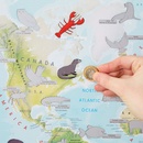 Kinderwereldkaart Scratch the World kids animals, 42 x 60 cm | Maps International