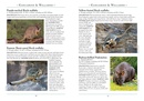 Natuurgids a Naturalist's guide to the Mammals of Australia 2nd | John Beaufoy