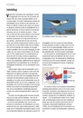 Vogelgids Alle vogels van Europa | KNNV Uitgeverij
