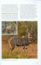 Natuurgids A Field Guide to the Larger Mammals of Tanzania | Princeton University Press