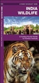 Natuurgids India Wildlife | Waterford Press