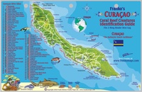 Fish Card Curaçao Dive Sites & Fish ID Card / Coral Reef Creatures