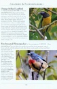 Vogelgids a Naturalist's guide to the the Birds of Hong Kong | John Beaufoy