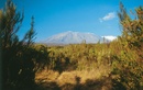 Wandelgids Kilimanjaro trekking | Cicerone