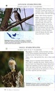 Vogelgids A Photographic Guide to the Birds of Indonesia - Indonesië | Tuttle Publishing