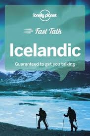 Woordenboek Fast Talk Icelandic | Lonely Planet