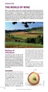 Reisgids Green guide Wine Trails of Italy - Wijnen in Italië | Michelin