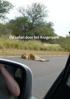 Op safari door het Krugerpark