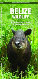 Natuurgids - Vogelgids Belize Wildlifde | Waterford Press