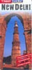 Stadsplattegrond - Wegenkaart - landkaart Fleximap New Delhi | Insight Guides