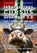 Reisgids Inburgeringscursus Groningen 2.0 | Kleine Uil