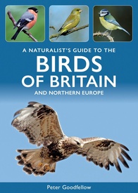 Vogelgids a Naturalist's guide to the Birds of Britain and Northern Europe | John Beaufoy