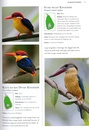 Vogelgids A photographic field guide to the Birds of Sri Lanka | John Beaufoy