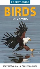 Vogelgids Pocket Guide Birds of Zambia | Struik Nature