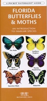 Florida Butterflies & Moths