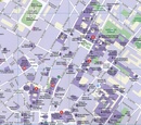 Stadsplattegrond Fleximap Florence | Insight Guides