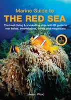An Underwater Guide to the Red Sea - Rode Zee