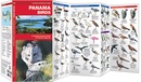 Natuurgids - Wegenkaart - landkaart Adventure Set Panama | National Geographic