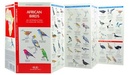 Vogelgids - Natuurgids Africa Birds | Waterford Press