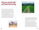 Wandelgids South Downs Way | Sparky Books