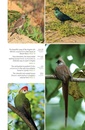 Reisgids Angola | Bradt Travel Guides