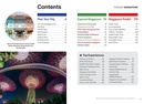 Reisgids Pocket Singapore | Lonely Planet
