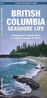 British Columbia Seashore Life