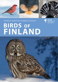 Vogelgids Birds of Finland | Bloomsbury
