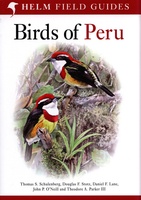 Peru - Birds of Peru