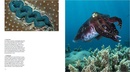 Fotoboek The Great Barrier Reef | BBC