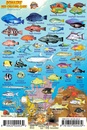Waterkaart BONAIRE MINI FISH CARD | Franko Maps