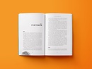 Reishandboek Mountain Walks 31 Days | Vertebrate Publishing