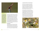 Vogelgids - Natuurgids - Reisgids Vogels kijken op Lesbos | KNNV Uitgeverij