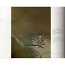 Fotoboek Luchtfoto's Ierland | Veltman