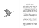 Reisverhaal Call of the Kingfisher | Nick Penny