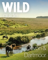 Devon & Dartmoor : Mini adventures, secret places & local food