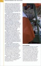 Reisgids National Geographic Napels en Zuid Italië | Kosmos Uitgevers