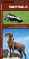 Natuurgids Mammals : An Introduction to Familiar North American Species | Waterford Press