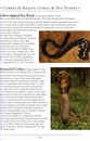 Natuurgids a Naturalist's guide to the Snakes of Southeast Asia | John Beaufoy
