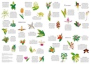 Legpuzzel Around the world in 50 Orchids | BIS Publishers BV