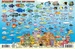 Waterkaart Fish Card Bonaire Dive Sites & Fish ID Card / Coral Reef Creatures | Franko Maps