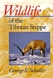 Natuurgids Wildlife of the Tibetan Steppe | Chicago Press