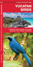Vogelgids Yucatan Birds - Mexico | Waterford Press